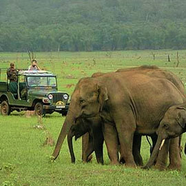 bandipur tour packages b2b