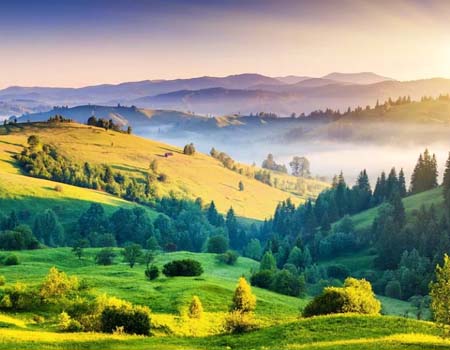 Kodaikanal kodaikanal b2b tour packages from bangalore